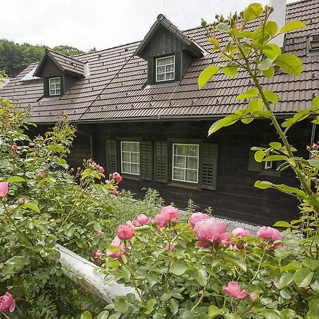 Das Altsteirische Landhaus - La Maison De Pronegg - Feriendomizil Im Biosphaerenpark Wienerwald Pressbaum Kamer foto