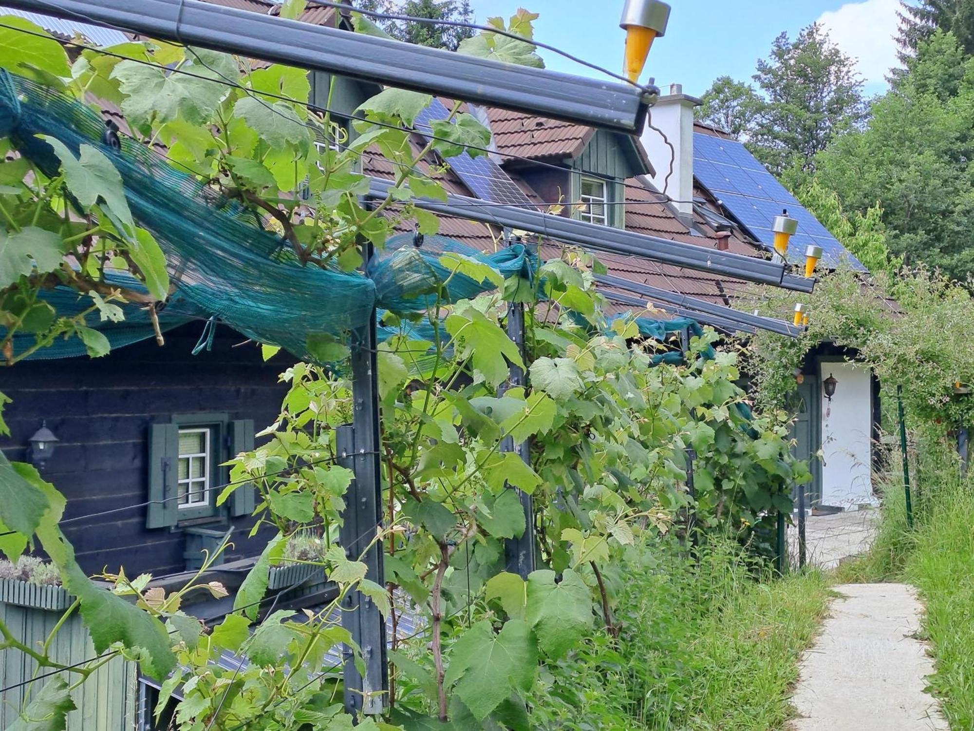 Das Altsteirische Landhaus - La Maison De Pronegg - Feriendomizil Im Biosphaerenpark Wienerwald Pressbaum Buitenkant foto