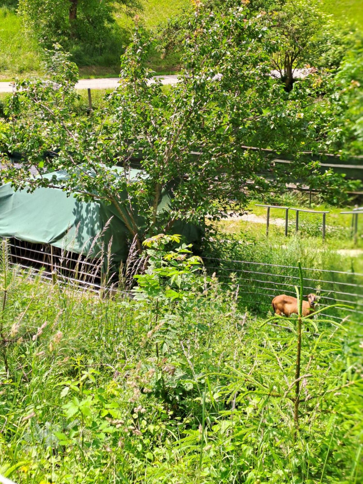 Das Altsteirische Landhaus - La Maison De Pronegg - Feriendomizil Im Biosphaerenpark Wienerwald Pressbaum Buitenkant foto