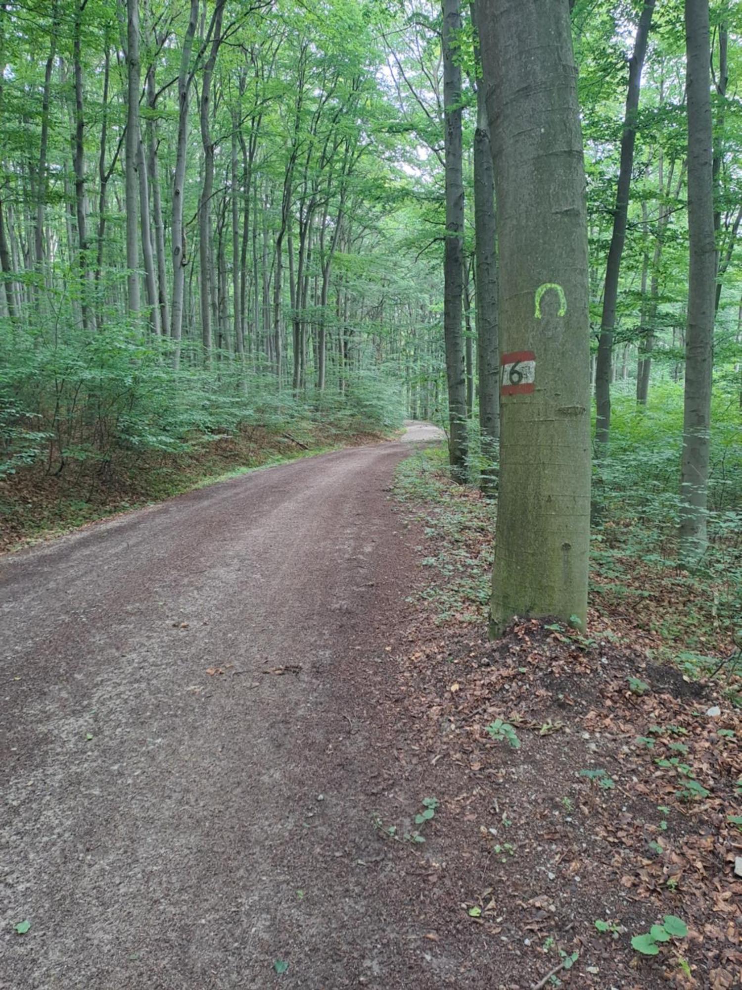 Das Altsteirische Landhaus - La Maison De Pronegg - Feriendomizil Im Biosphaerenpark Wienerwald Pressbaum Buitenkant foto