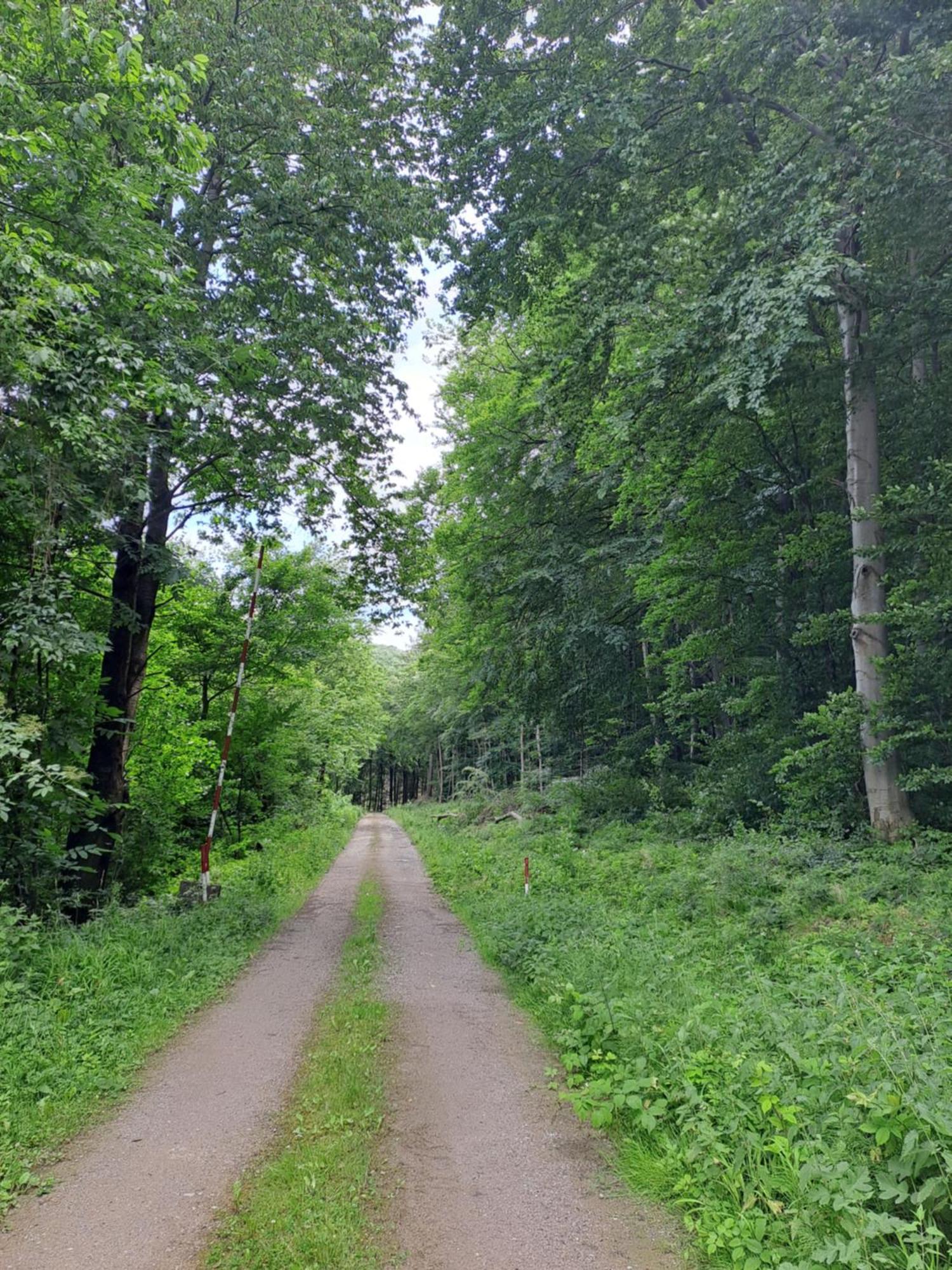 Das Altsteirische Landhaus - La Maison De Pronegg - Feriendomizil Im Biosphaerenpark Wienerwald Pressbaum Buitenkant foto