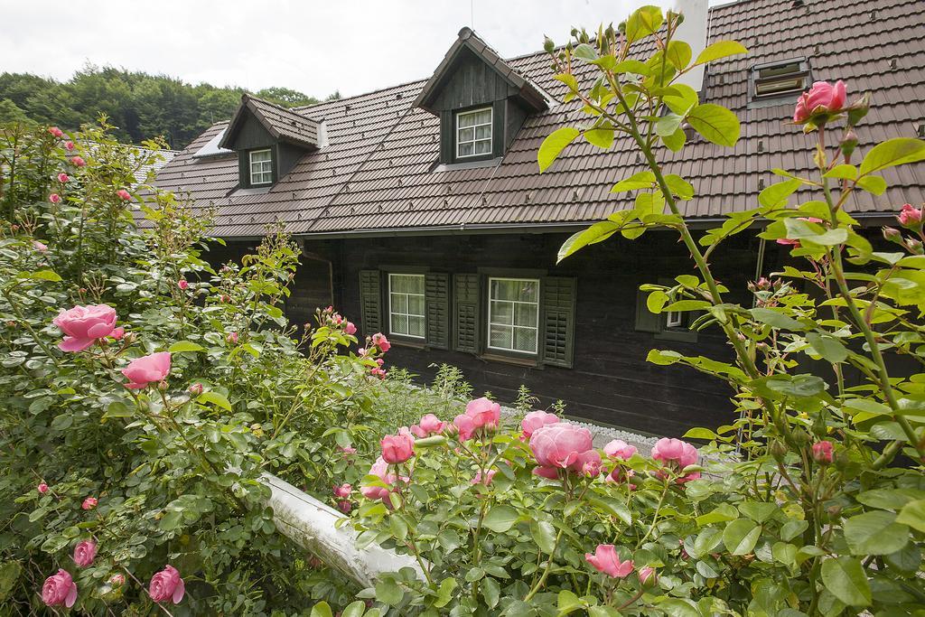 Das Altsteirische Landhaus - La Maison De Pronegg - Feriendomizil Im Biosphaerenpark Wienerwald Pressbaum Kamer foto